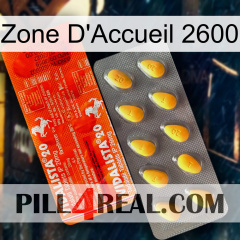 Home Zone 2600 new01